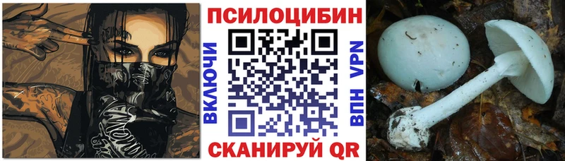 хочу наркоту  Качканар  Псилоцибиновые грибы ЛСД 