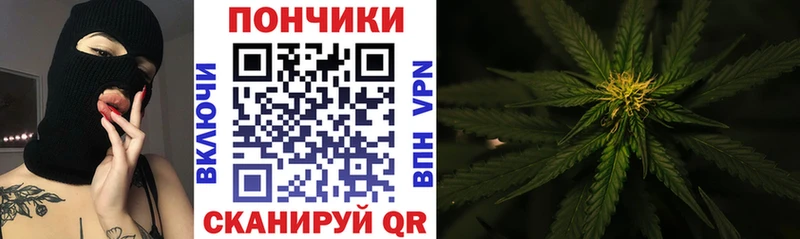 купить наркотики цена  kraken как войти  Бошки Шишки VHQ  Качканар 